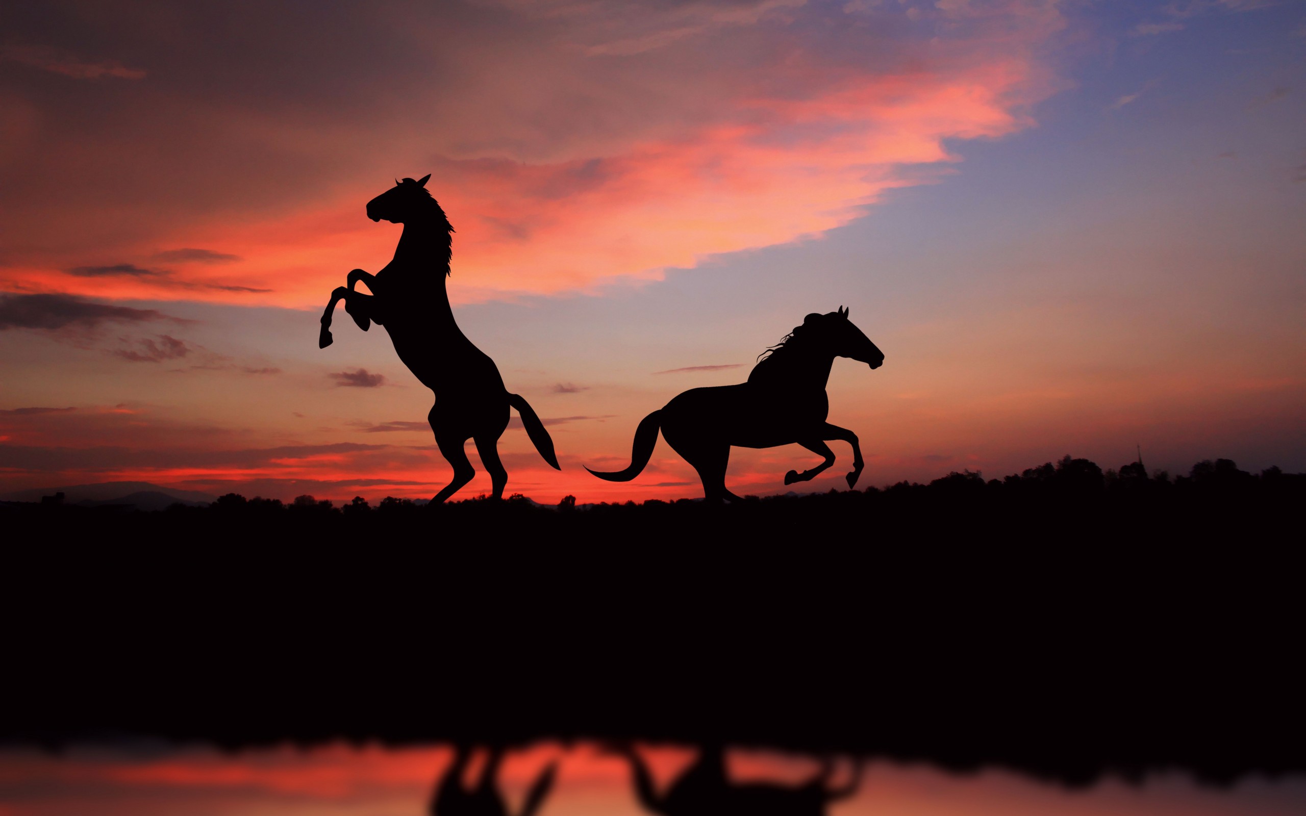 Wallpapers sunset horses landscape on the desktop