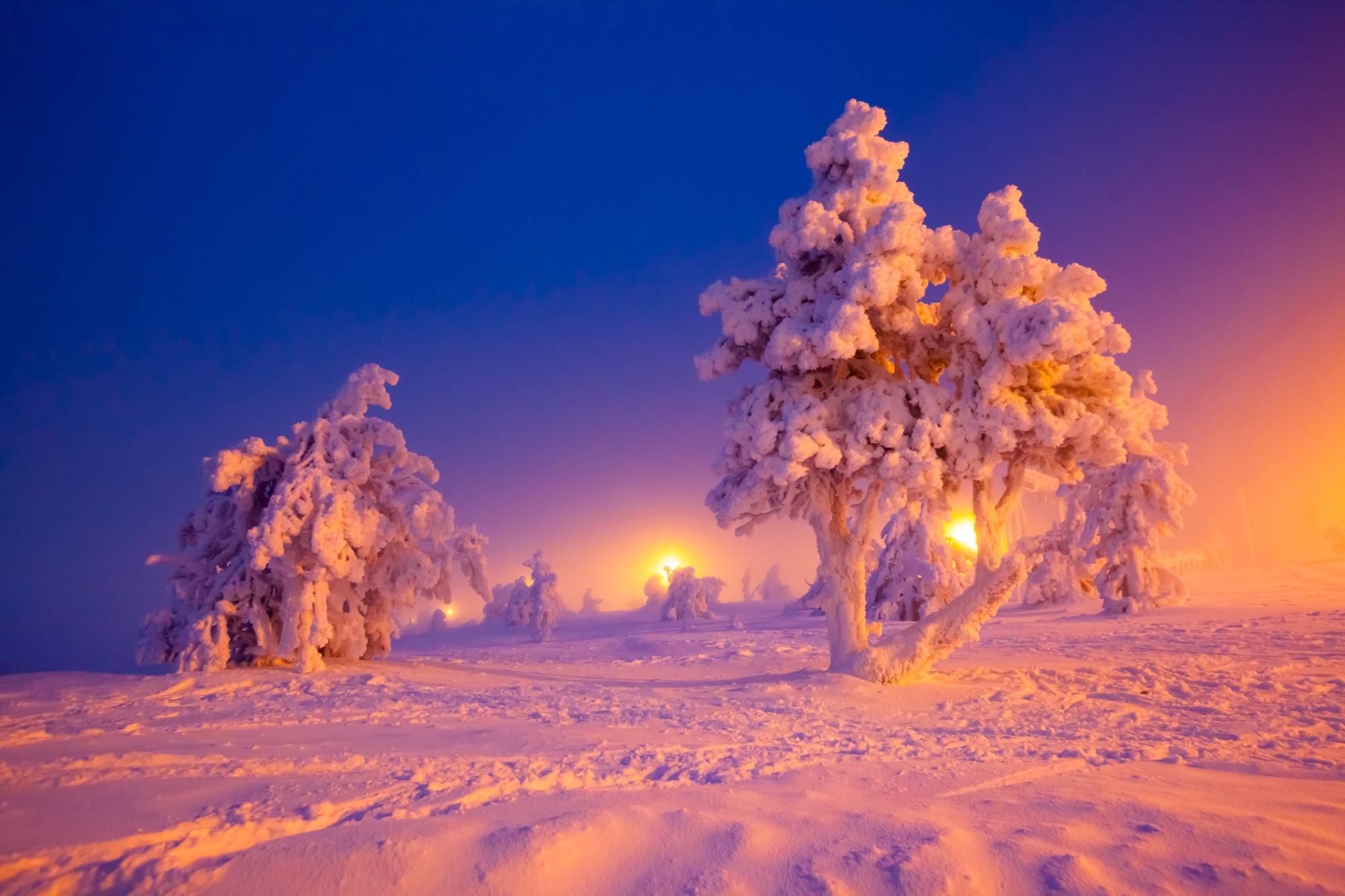 桌面上的壁纸冬景 树木 雪