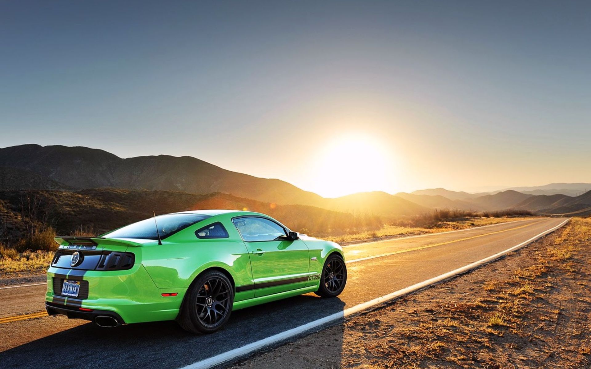 Wallpapers mustang green shelby on the desktop