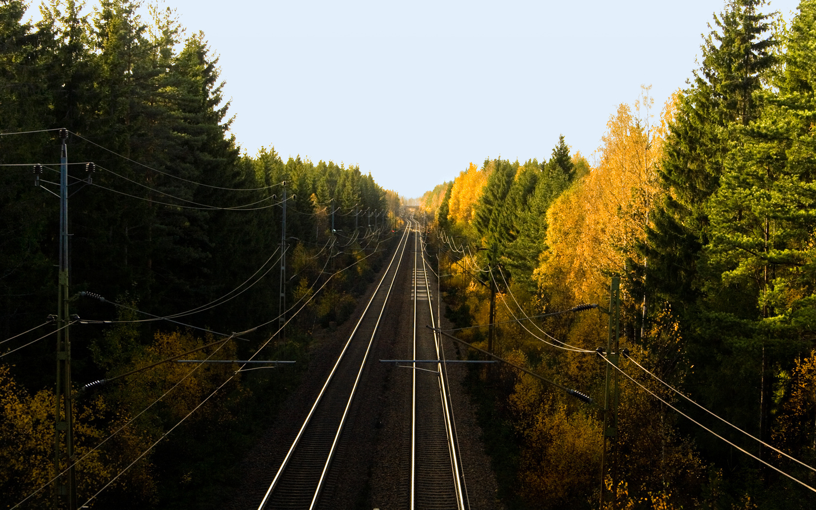 Wallpapers trees rails road on the desktop