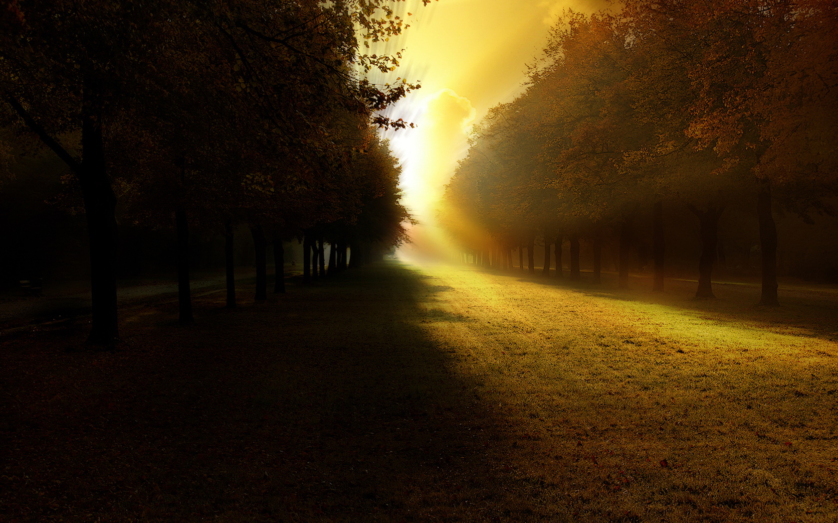 免费照片秋日林荫道上的第一缕阳光