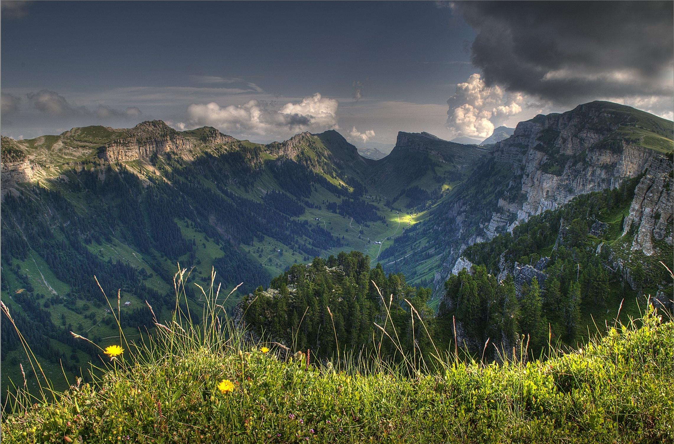Фото бесплатно switzerland, горы, деревья