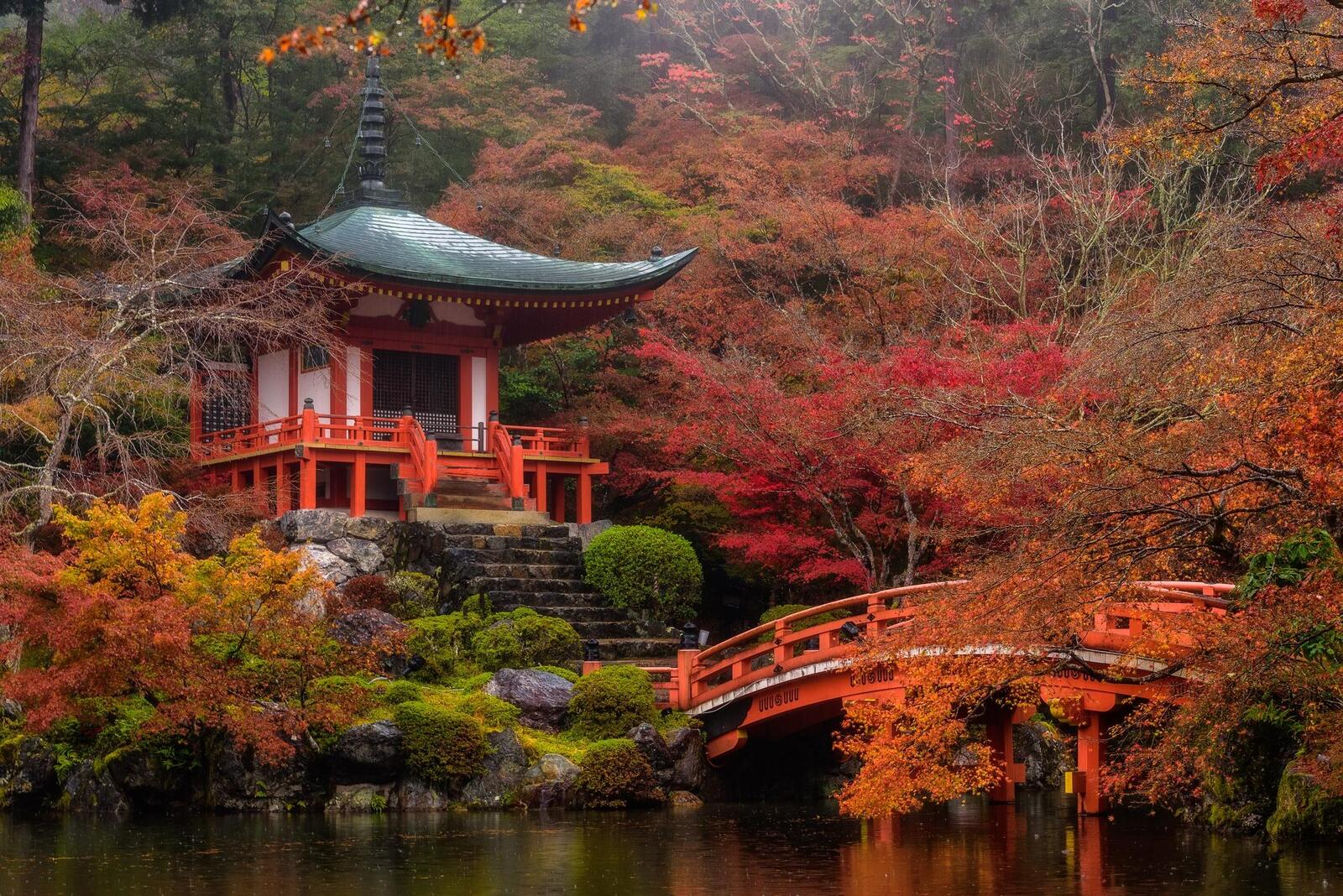 Free photo View photo japan, temple in kyoto