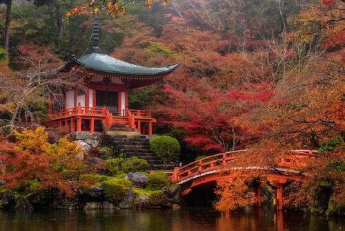Посмотреть фото япония, храм в киото