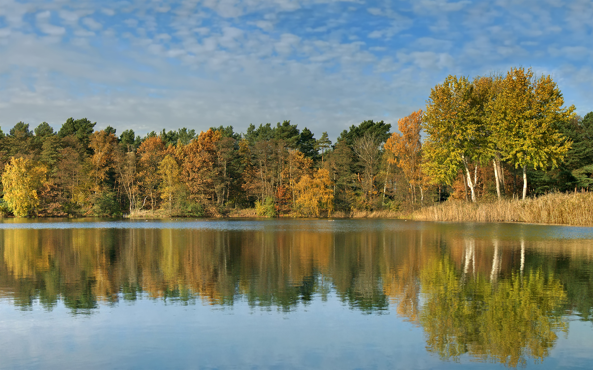 Wallpapers autumn lake smooth on the desktop