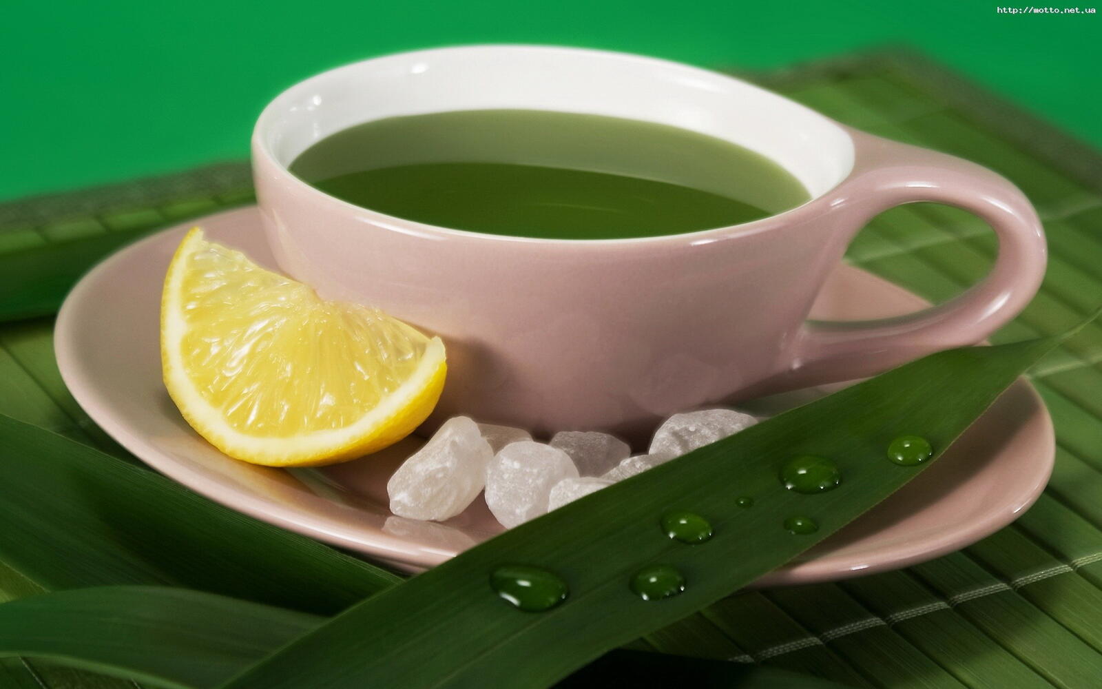 Обои зеленый чай чашка лимон на рабочий стол