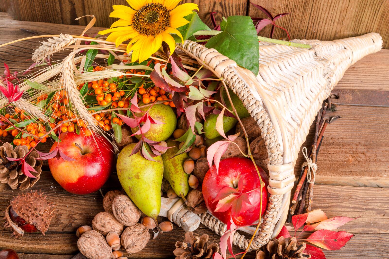 Wallpapers autumn composition of vegetables and fruits cones food on the desktop