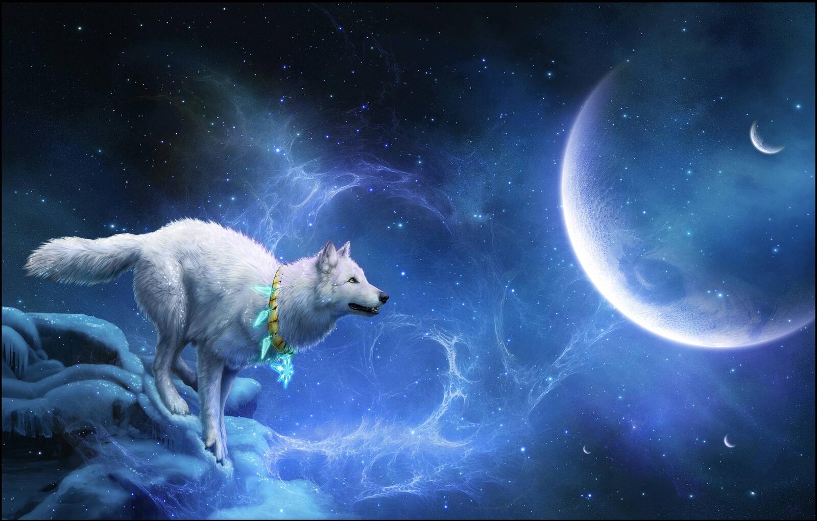 Wallpapers white wolf planet 3d on the desktop