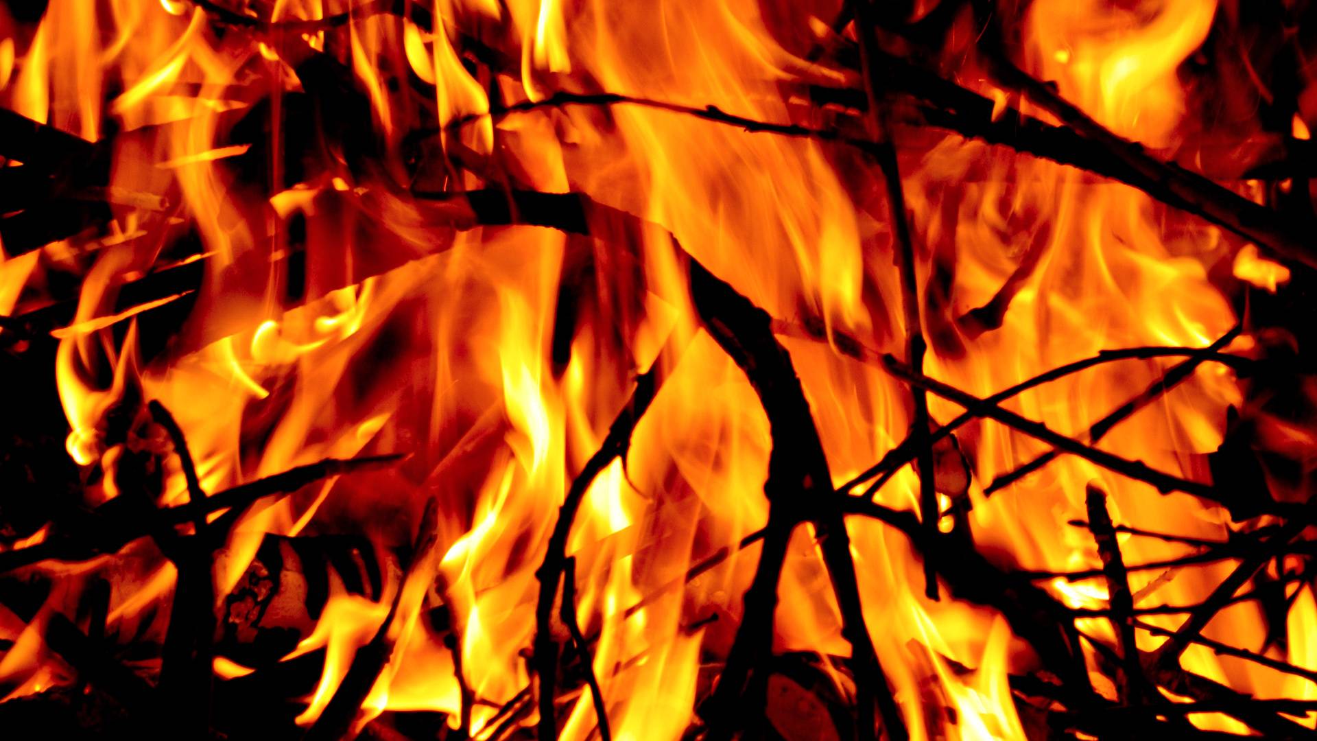 Wallpapers bonfire branches fire on the desktop