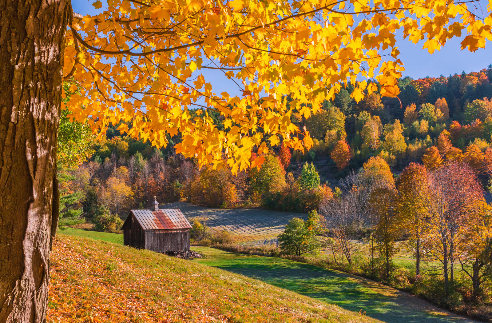 Wallpapers New England Vermont autumn on the desktop