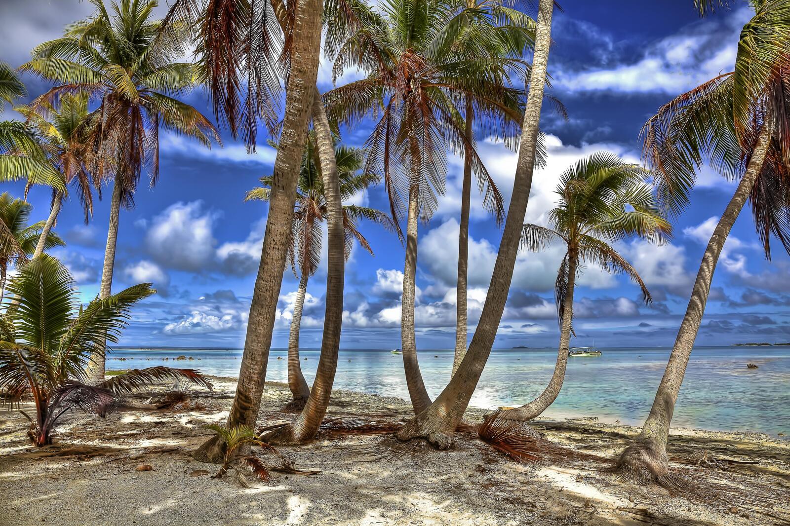 Обои Французская Полинезия Тихий океан пейзаж на рабочий стол