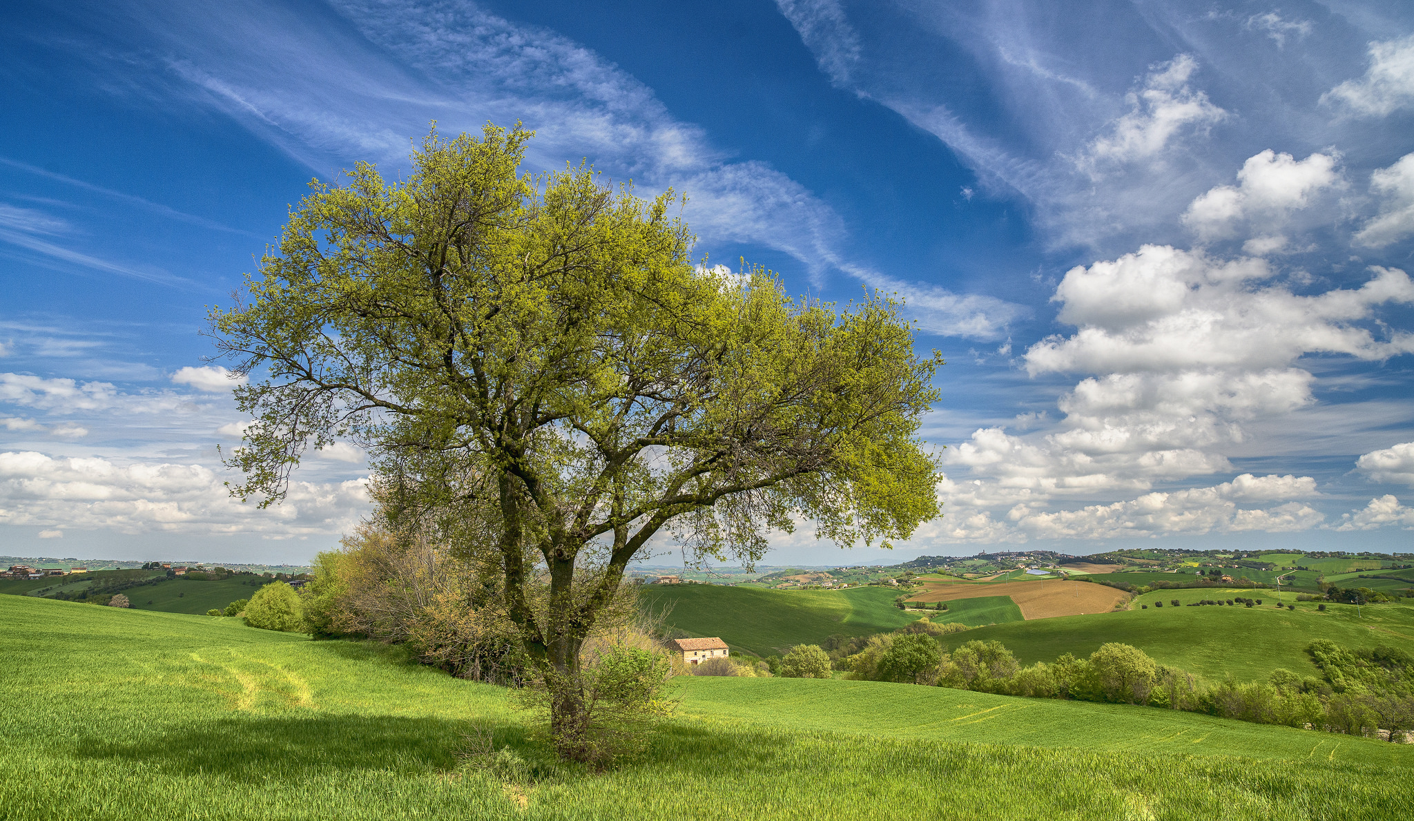 Wallpapers hills Italy trees on the desktop