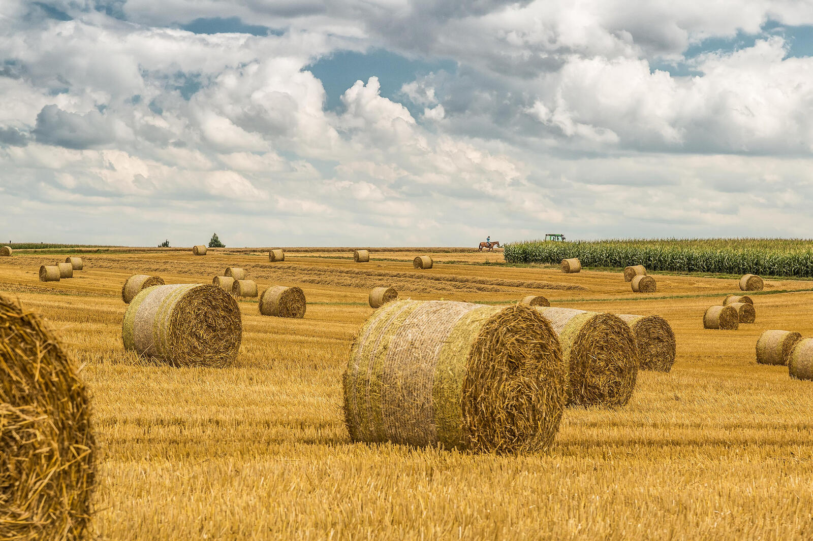 Wallpapers field hay landscape on the desktop