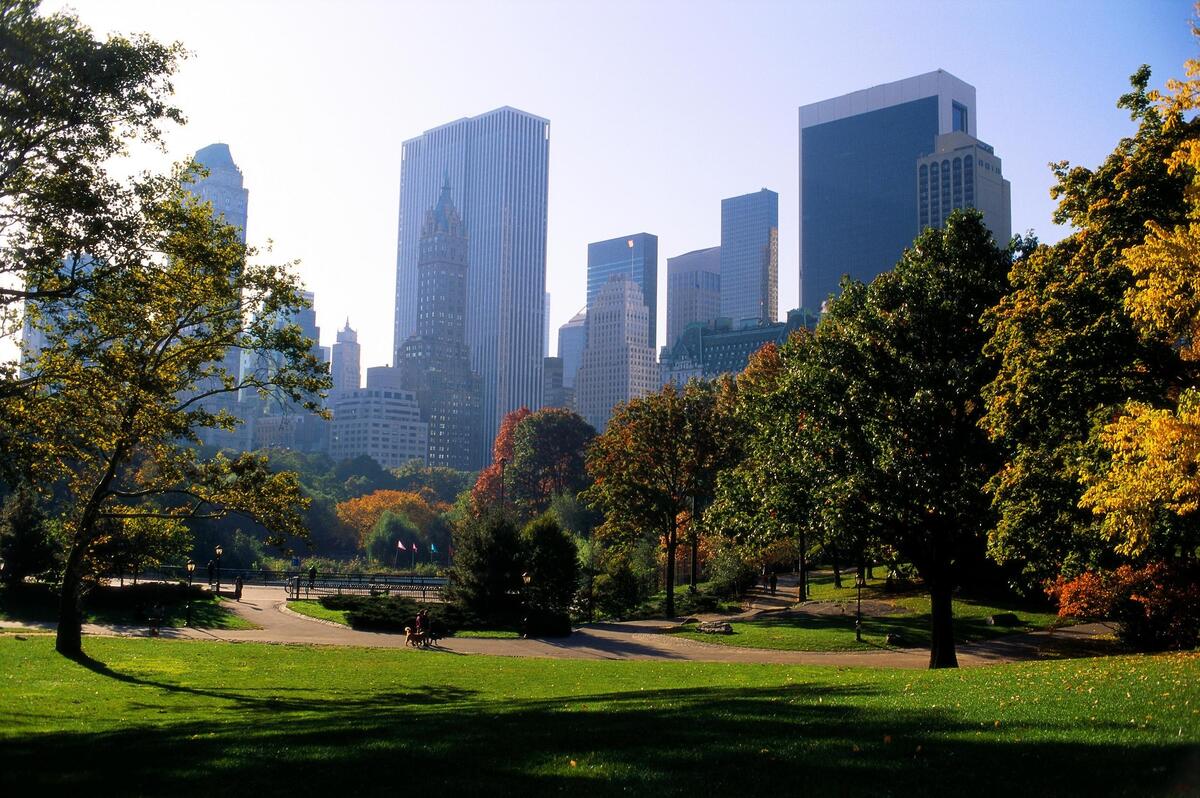A large park in a city with skyscrapers