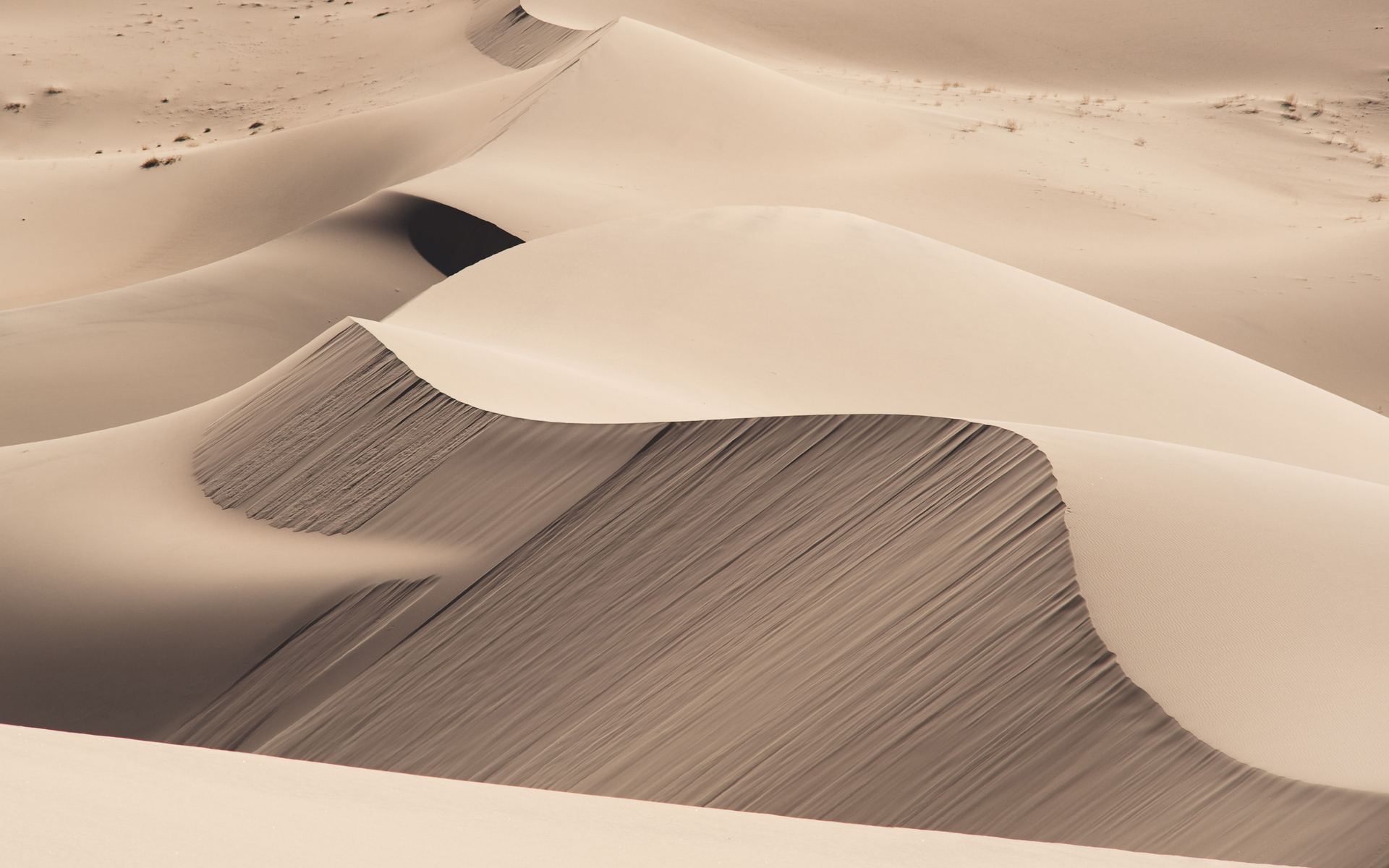 桌面上的壁纸沙丘 沙 沙漠