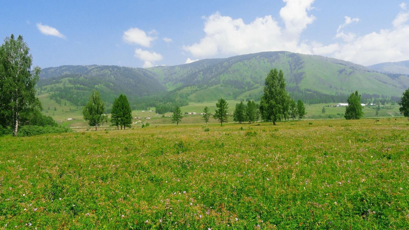 Wallpapers meadow landscapes hills on the desktop