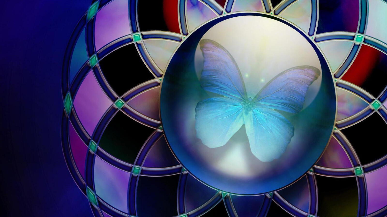 Wallpapers ball circle butterfly on the desktop