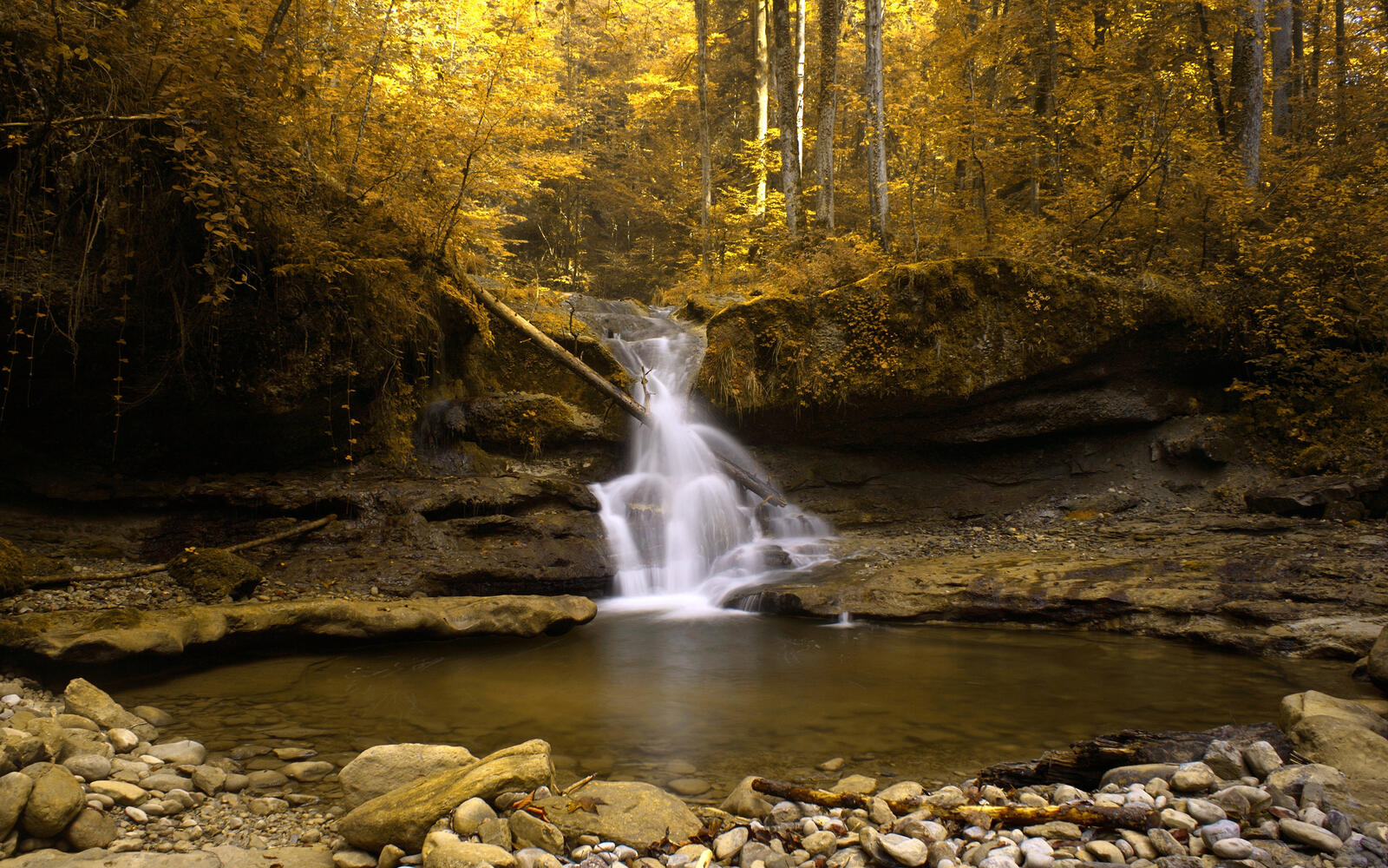 Обои осенний водопад осень жёлтая листва на рабочий стол