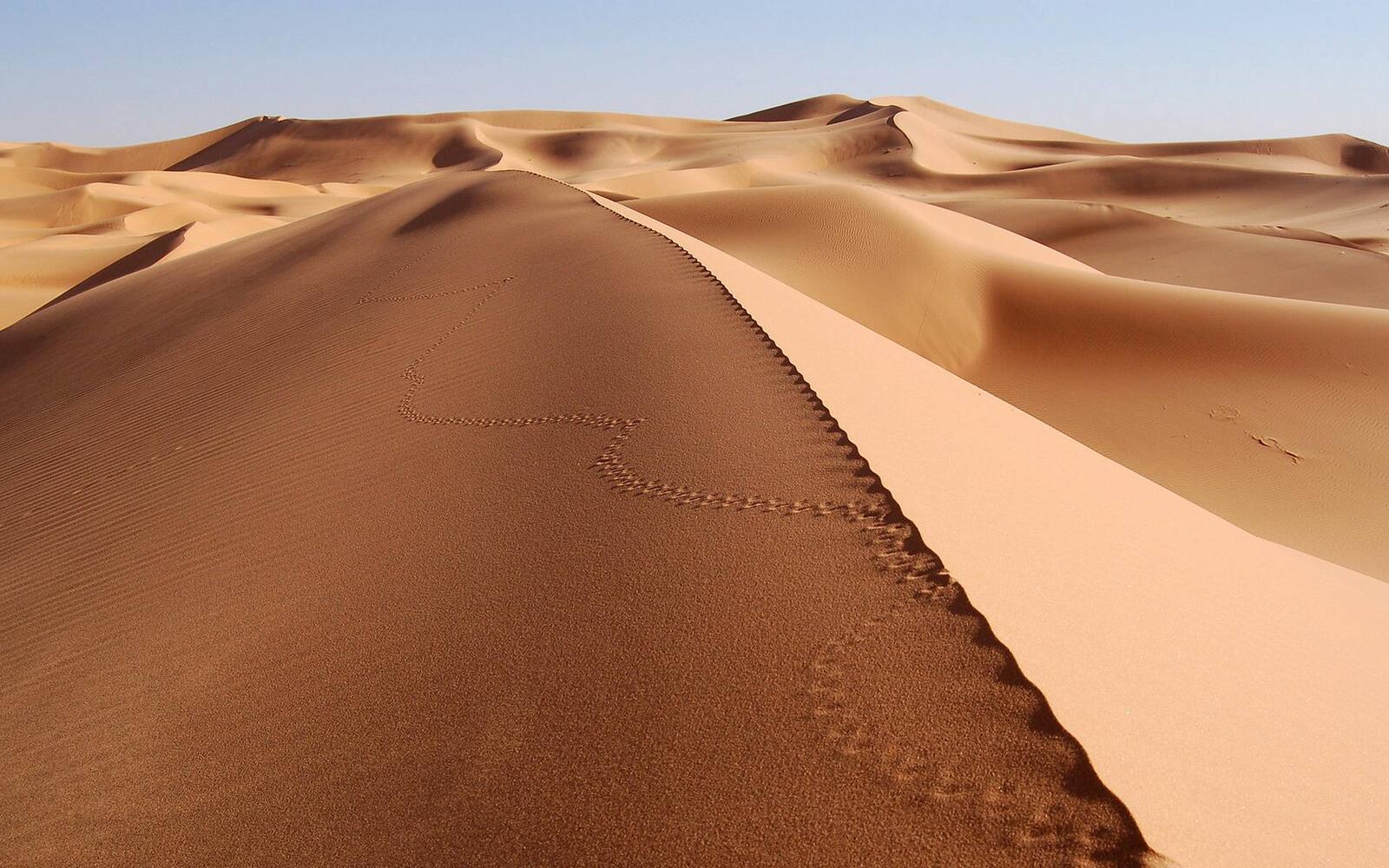 Wallpapers dunes sand footprints on the desktop
