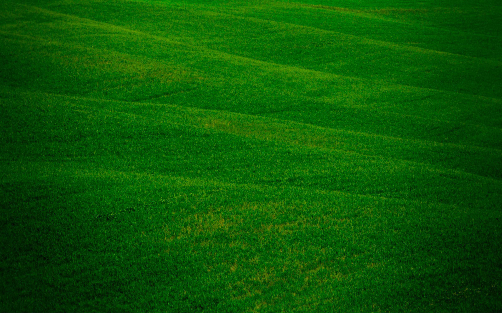 Wallpapers grass drawings greens on the desktop