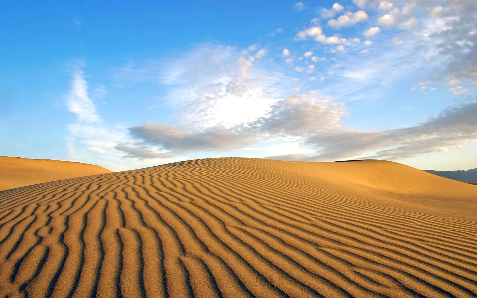Обои пейзажи пустыня песок на рабочий стол