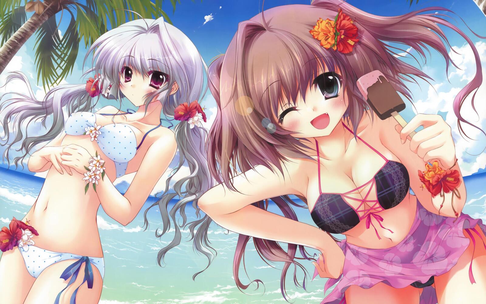 Wallpapers girls beach anime on the desktop
