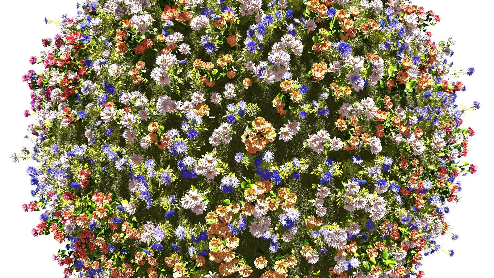 Wallpapers flowers bouquet flower bed on the desktop