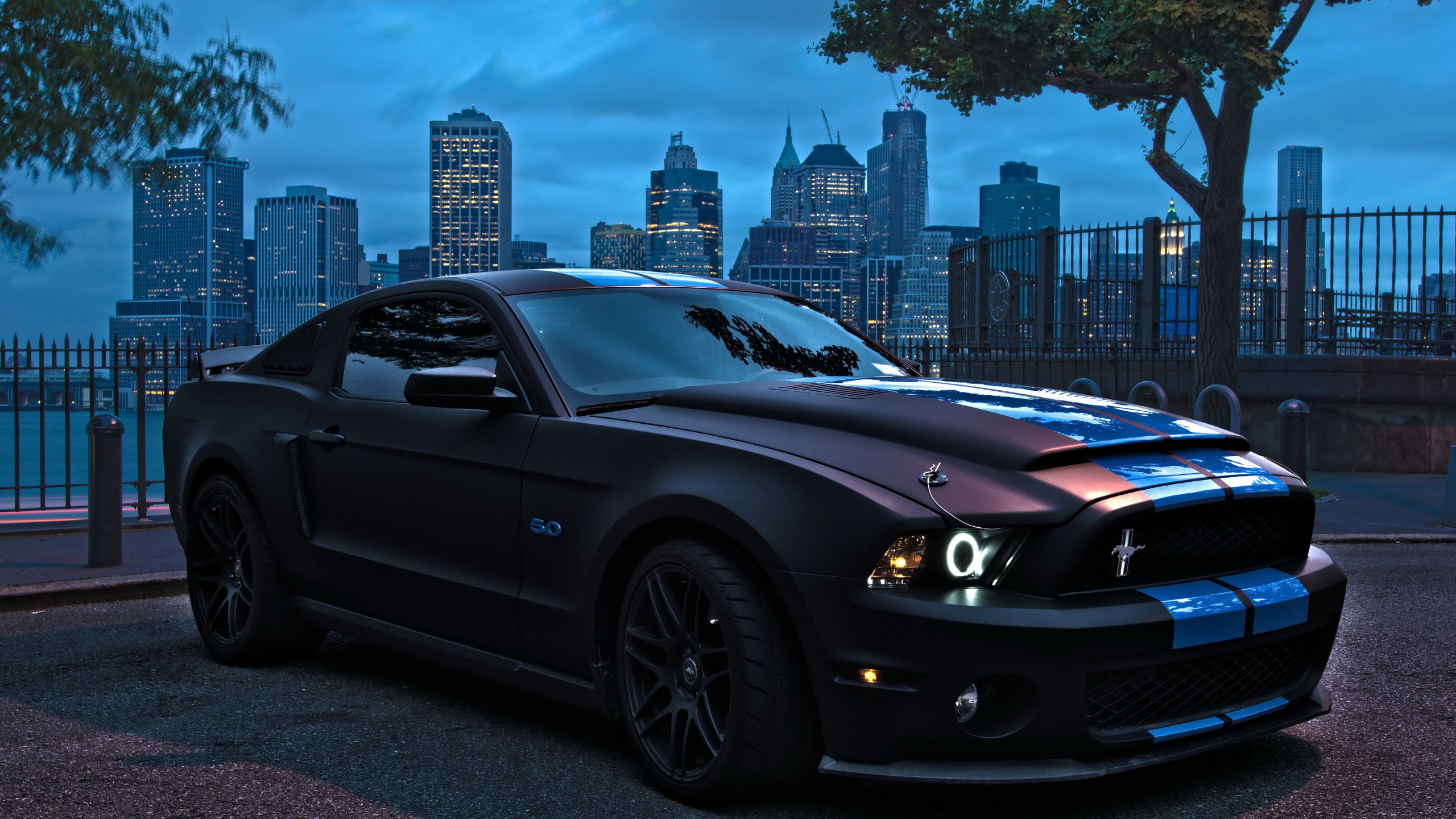 Wallpapers Ford Mustang Coupe Muscular on the desktop