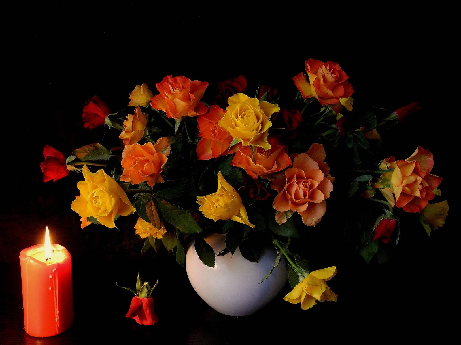 Wallpapers candle still life roses on the desktop
