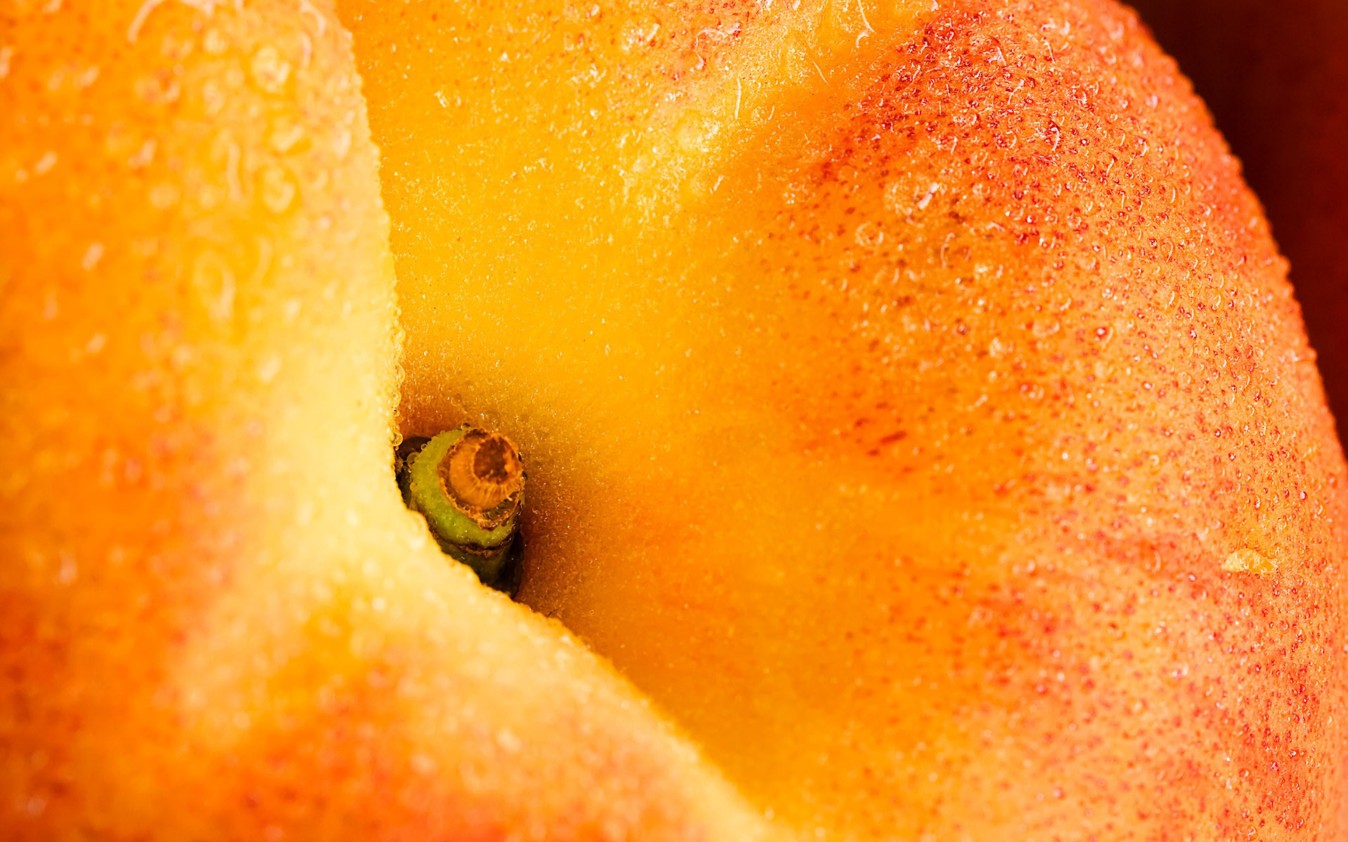 Wallpapers peach peel fruit on the desktop