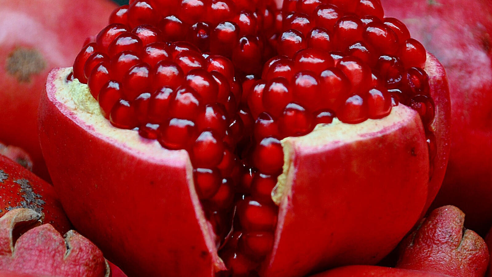 Wallpapers pomegranate fruit seeds on the desktop