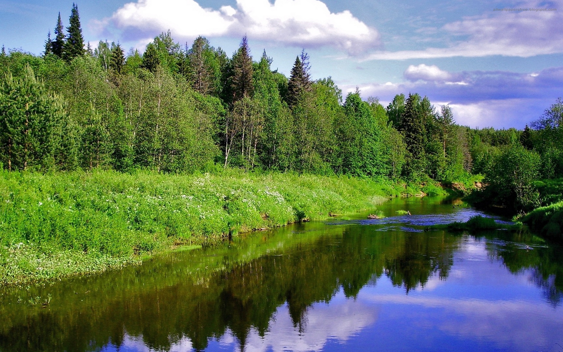 Река текущая вдоль зеленого леса без смс