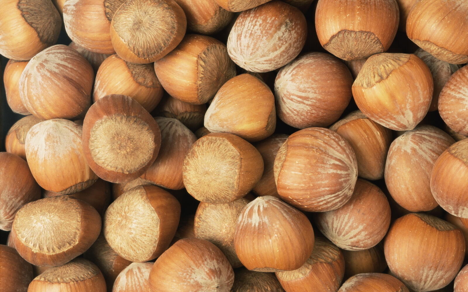 Wallpapers nuts hazelnuts shell on the desktop