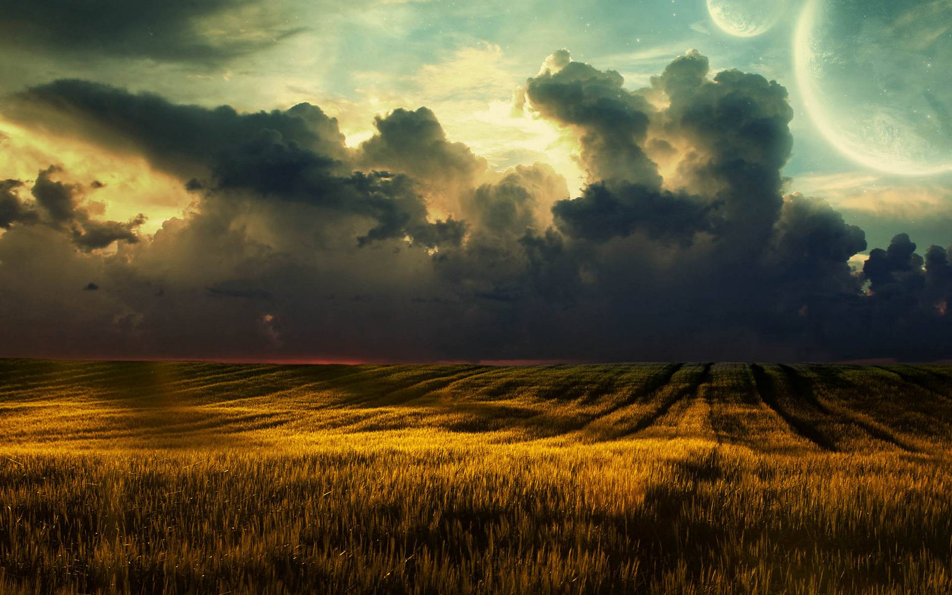 Wallpapers wheat clouds horizon on the desktop