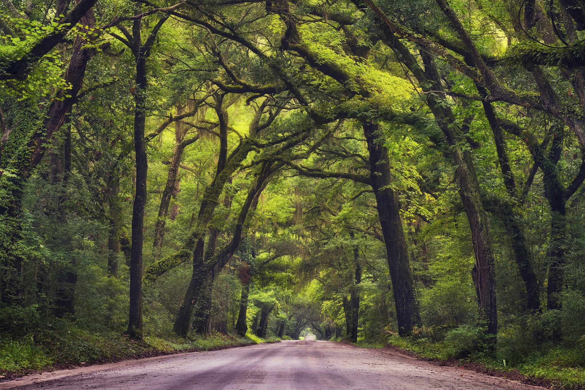 Photo free gravel road, road through the forest, landscape