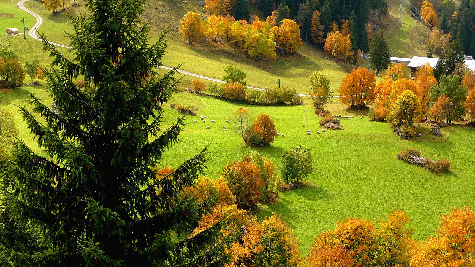 Wallpapers Near La Clusaz in Haute Savoie FRANCE autumn on the desktop