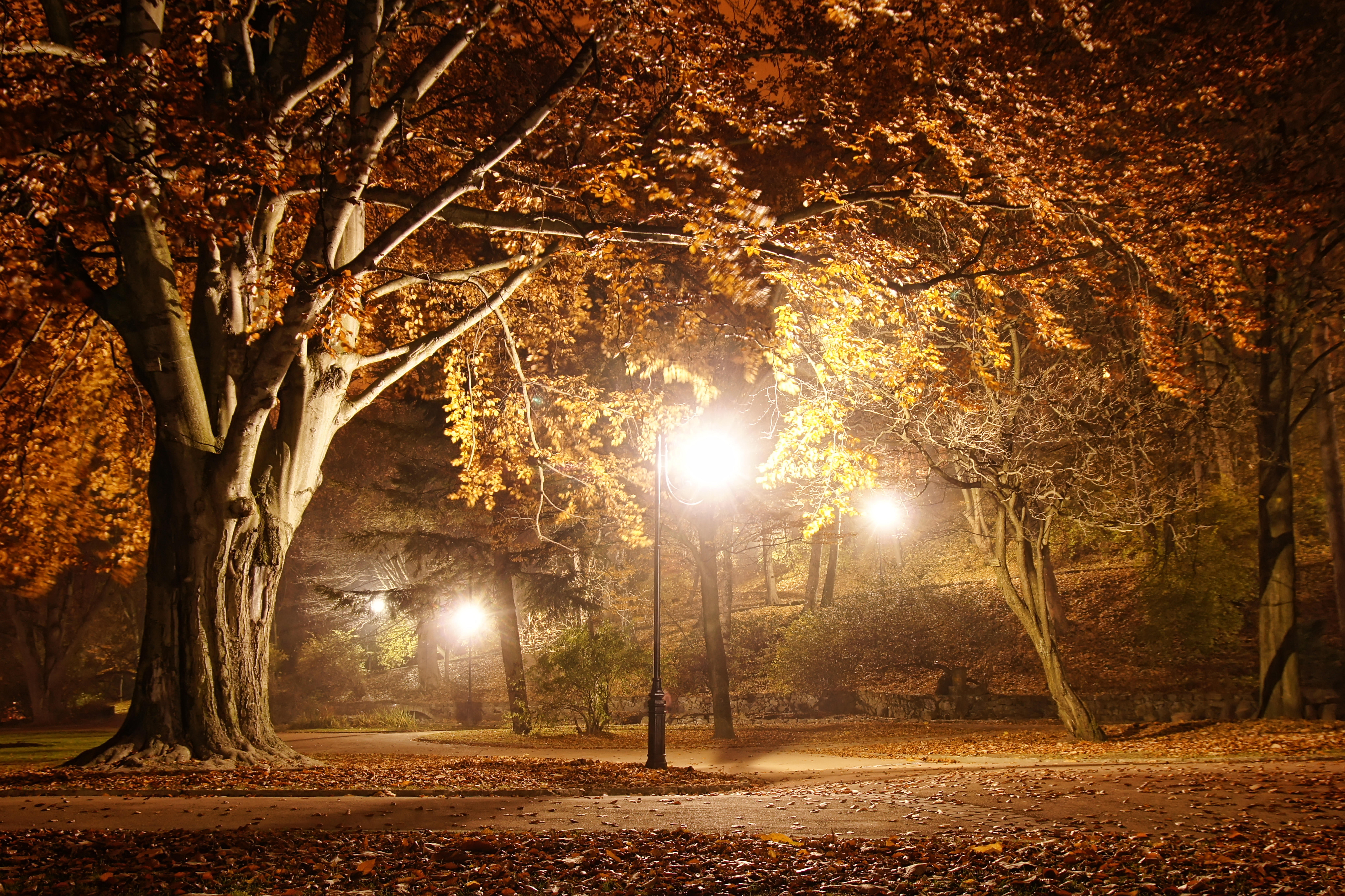 Бостон газон ночь фонари без смс