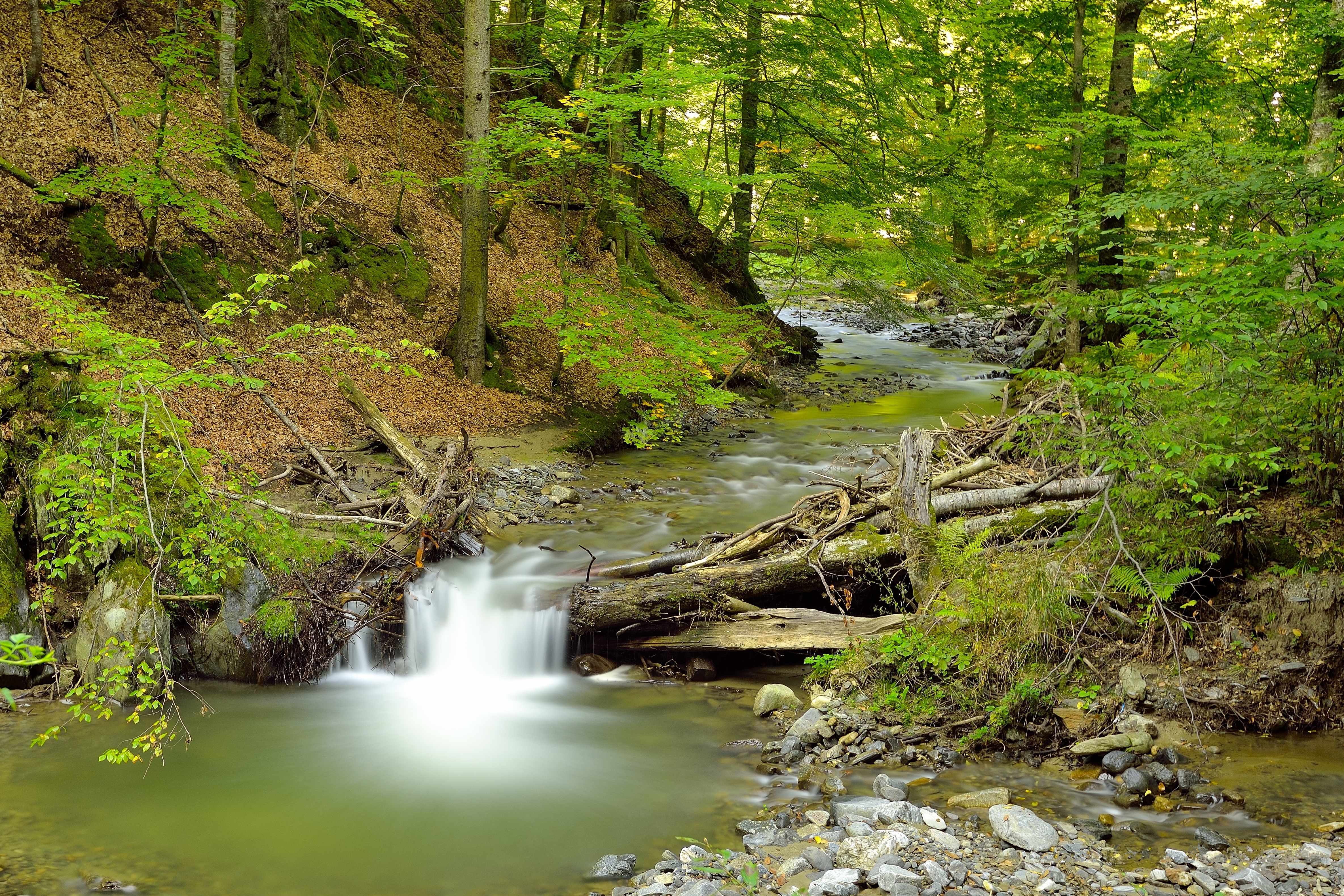 природа река водопад лес деревья nature river waterfall forest trees загрузить