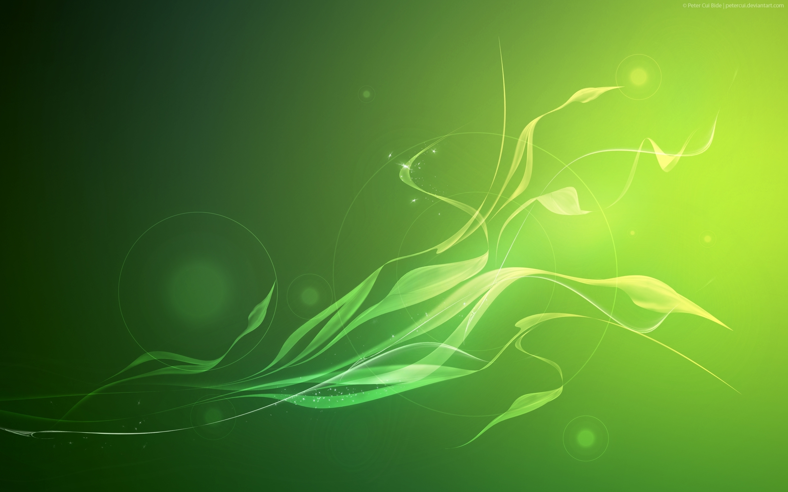 Wallpapers green background circles on the desktop