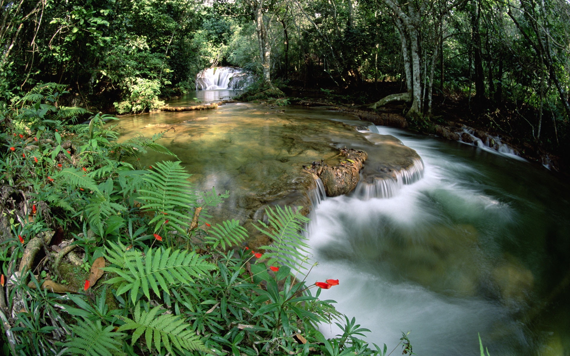 природа водопад деревья вода Бразилия бесплатно
