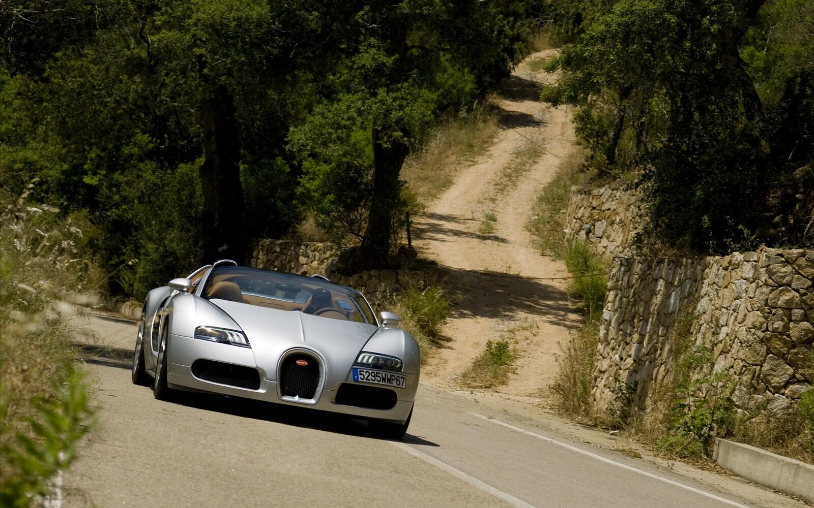 Wallpapers veyron cars stones on the desktop