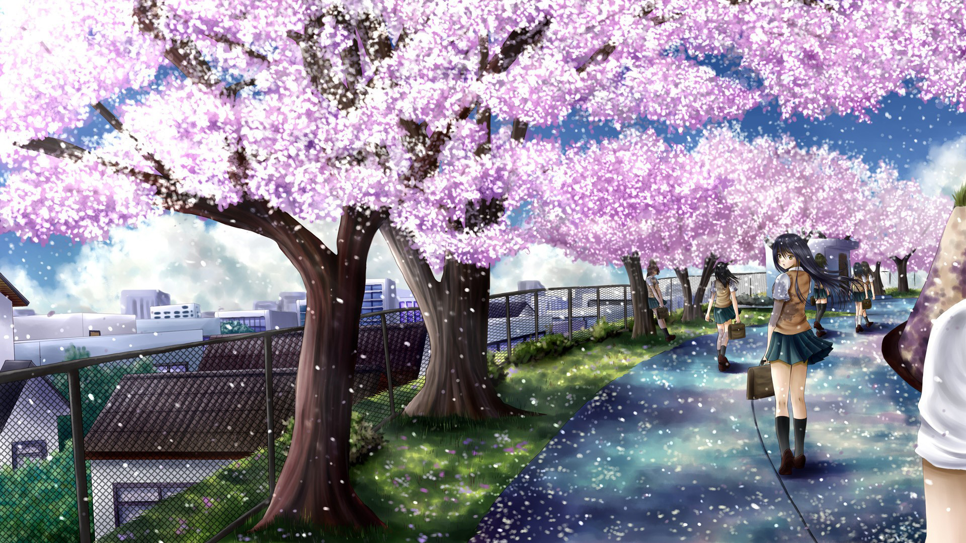Cherry blossom отзывы. Сакура черри блоссом дерево.