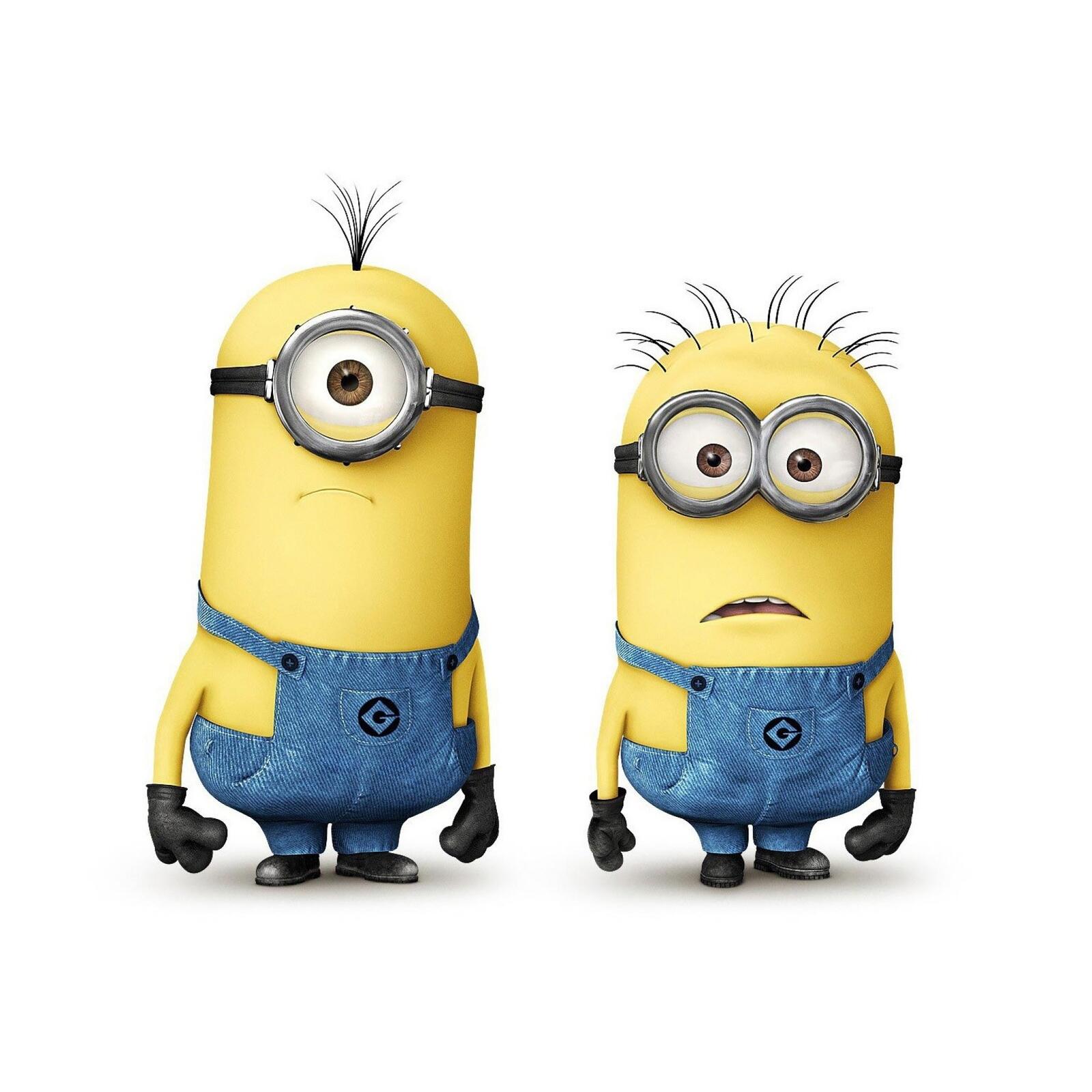 Wallpapers minions work clothes on the desktop