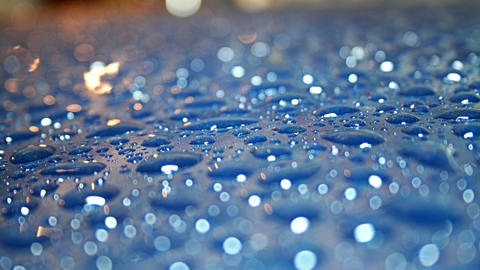 Wallpapers water dew drops on the desktop