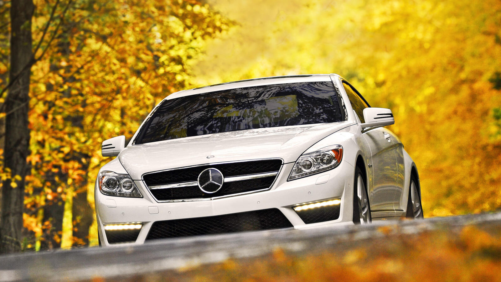 Wallpapers Mercedes white road on the desktop