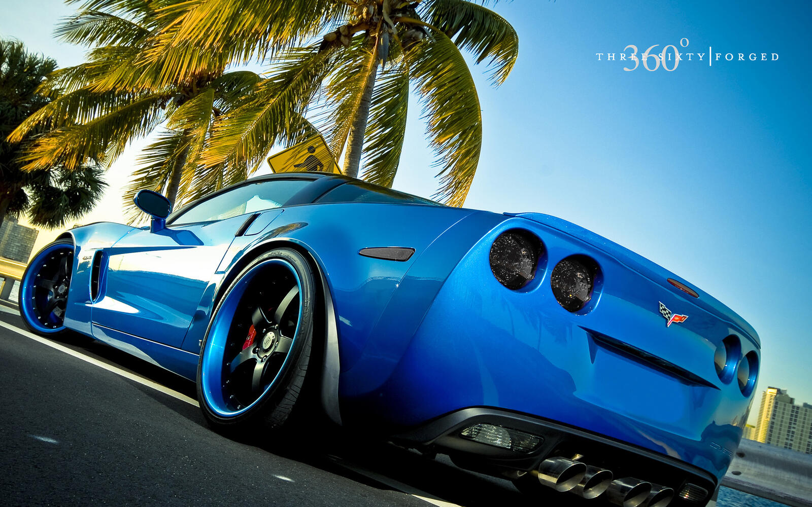 Wallpapers chevrolet blue palm on the desktop