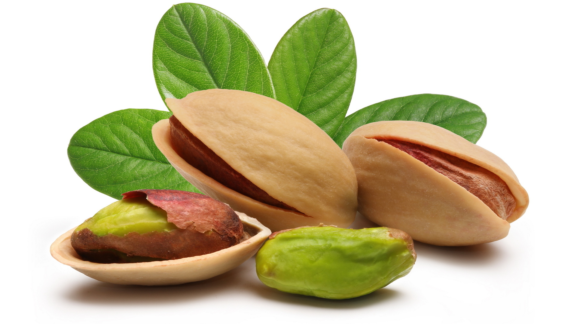 Wallpapers pistachios walnut shell on the desktop