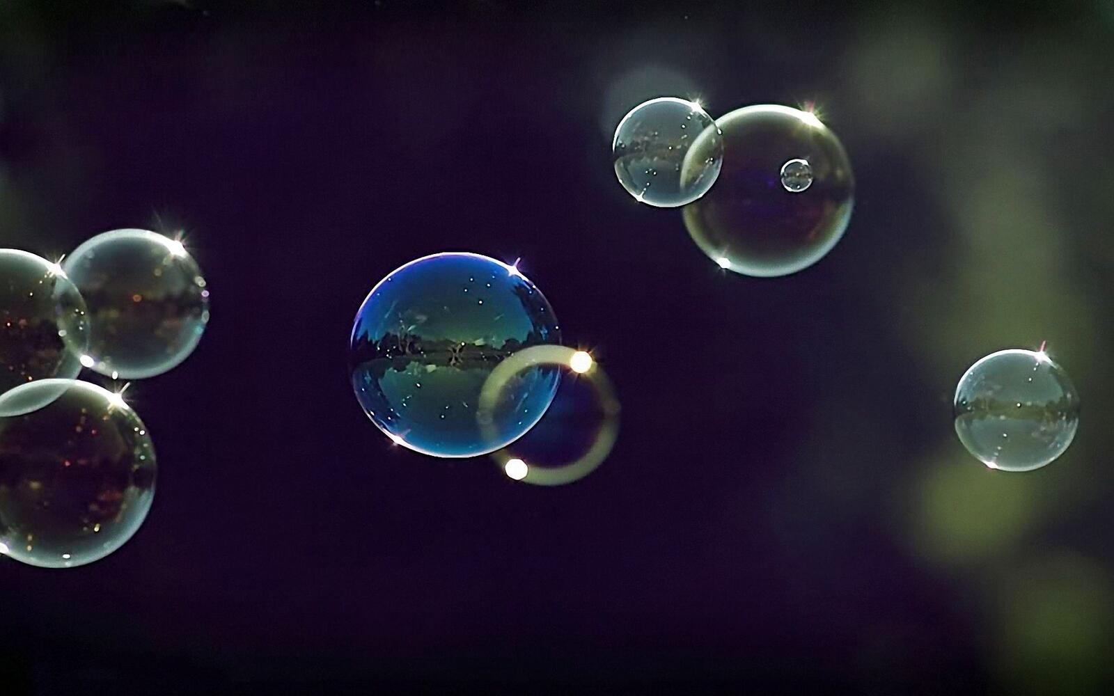 Обои мыльные пузыри блик на рабочий стол