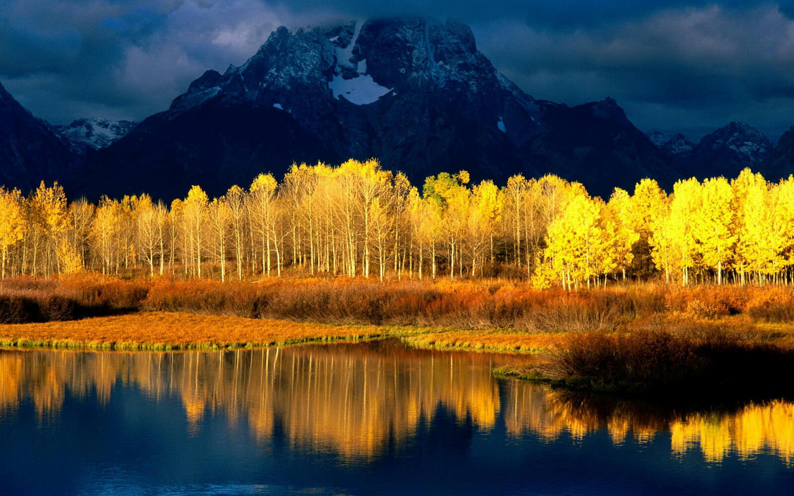 Wallpapers mountain forest yellow on the desktop