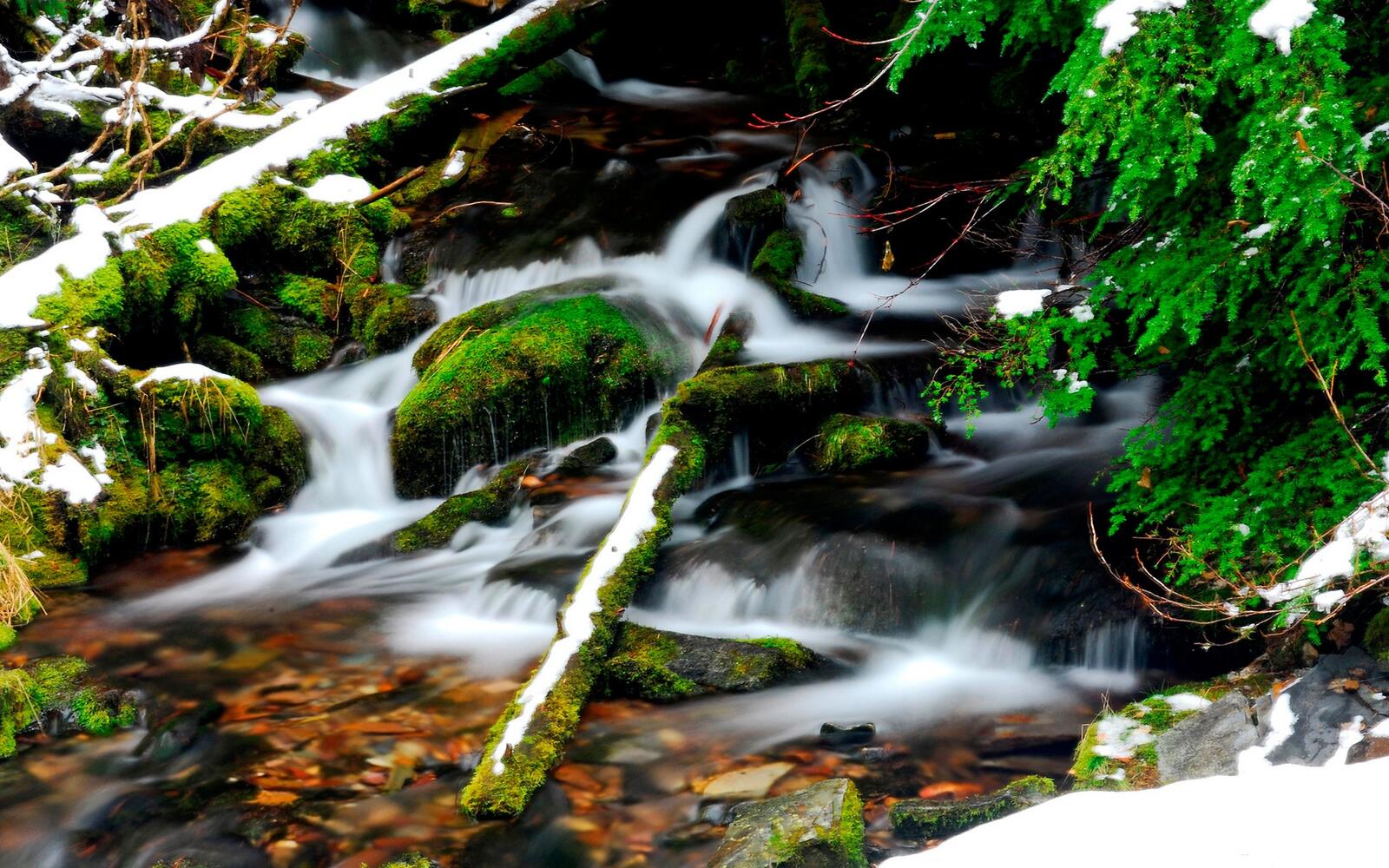 Wallpapers shore waterfall forest on the desktop